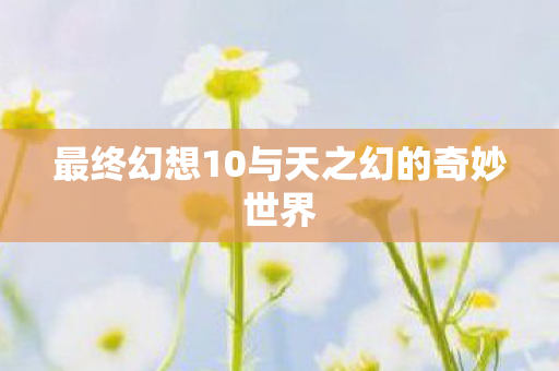 最终幻想10与天之幻的奇妙世界图片