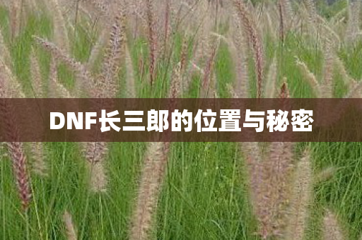 DNF长三郎的位置与秘密图片