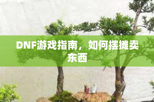 DNF游戏指南图片