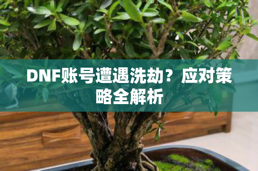 DNF账号遭遇洗劫图片