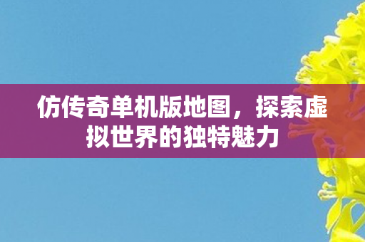 探索虚拟世界的独特魅力图片