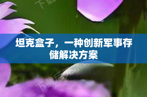 一种创新军事存储解决方案图片
