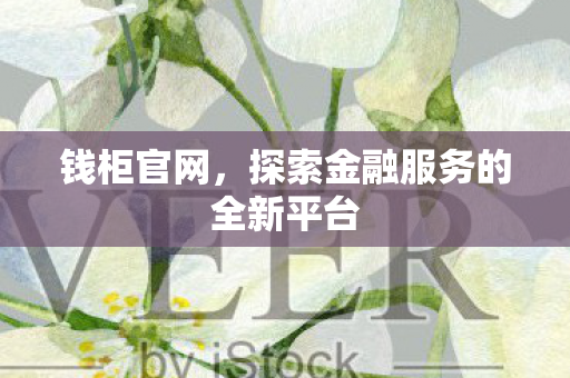 探索金融服务的全新平台图片