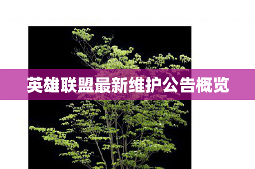 英雄联盟最新维护公告概览图片