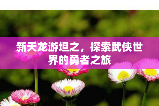 探索武侠世界的勇者之旅图片
