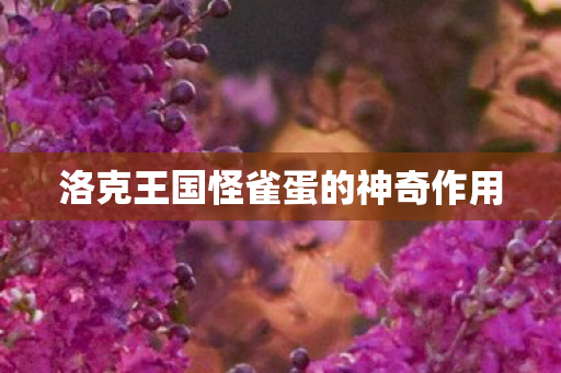 洛克王国怪雀蛋的神奇作用图片