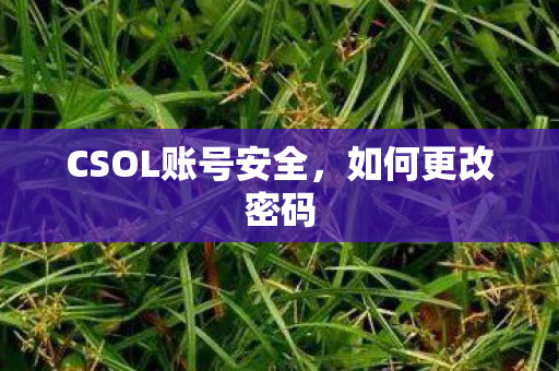 CSOL账号安全图片