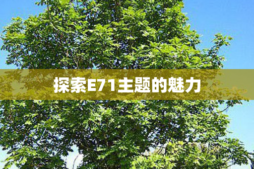 探索E71主题的魅力图片