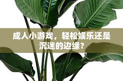 轻松娱乐还是沉迷的边缘图片