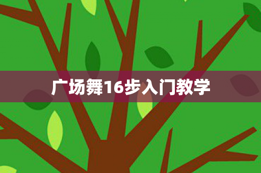 广场舞16步入门教学图片