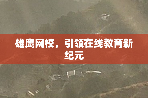 引领在线教育新纪元图片