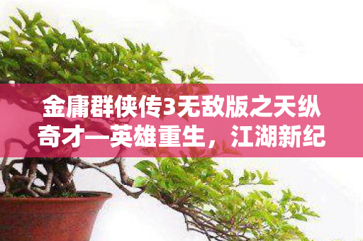 金庸群侠传3无敌版之天纵奇才图片