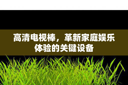 革新家庭娱乐体验的关键设备图片