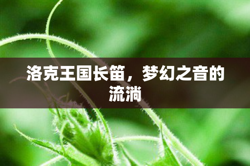 梦幻之音的流淌图片