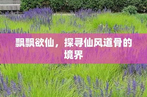 探寻仙风道骨的境界图片