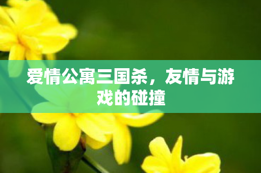 友情与游戏的碰撞图片