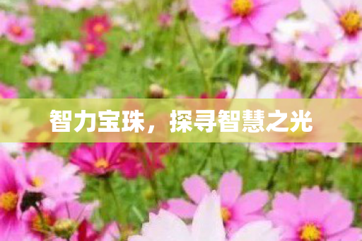 探寻智慧之光图片