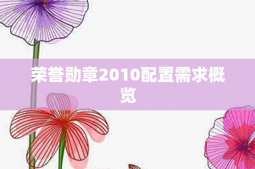 荣誉勋章2010配置需求概览图片