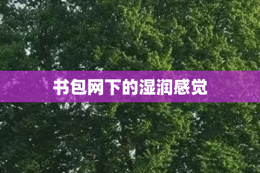 书包网下的湿润感觉图片