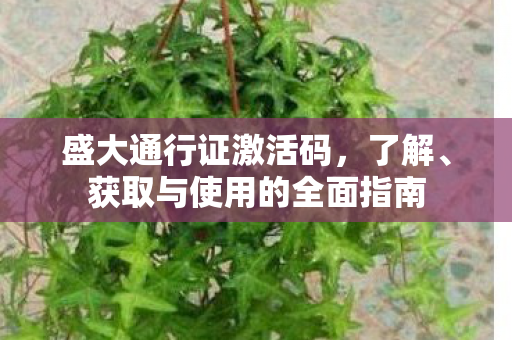 获取与使用的全面指南图片