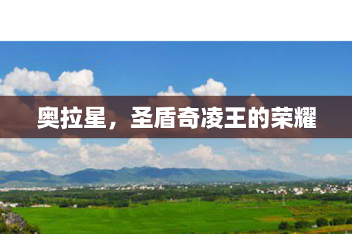 圣盾奇凌王的荣耀图片