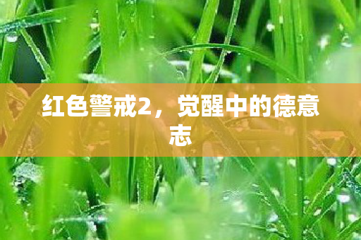 觉醒中的德意志图片