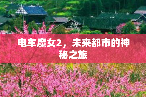未来都市的神秘之旅图片