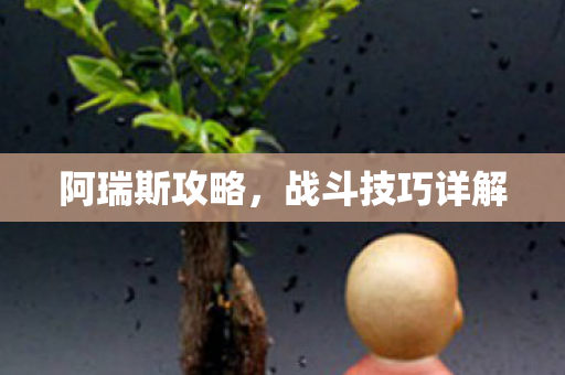 战斗技巧详解图片
