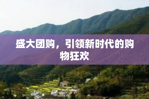 引领新时代的购物狂欢图片