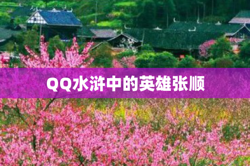 QQ水浒中的英雄张顺图片