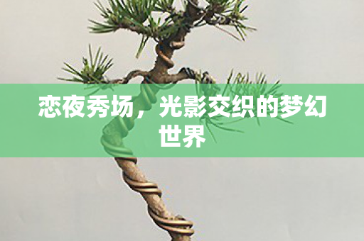 光影交织的梦幻世界图片