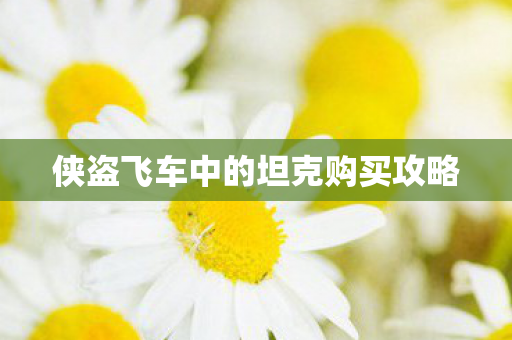 侠盗飞车中的坦克购买攻略图片