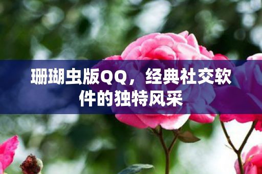 经典社交软件的独特风采图片
