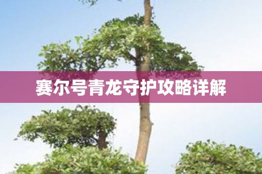 赛尔号青龙守护攻略详解图片