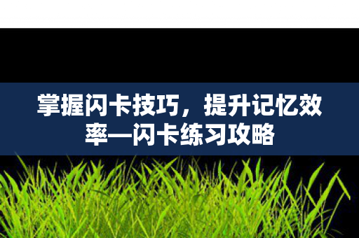 掌握闪卡技巧图片