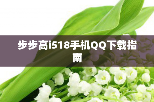 步步高i518手机QQ下载指南图片
