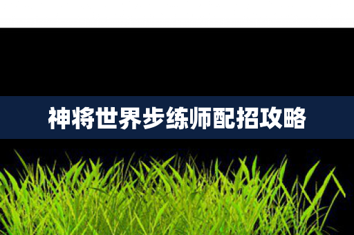 神将世界步练师配招攻略图片