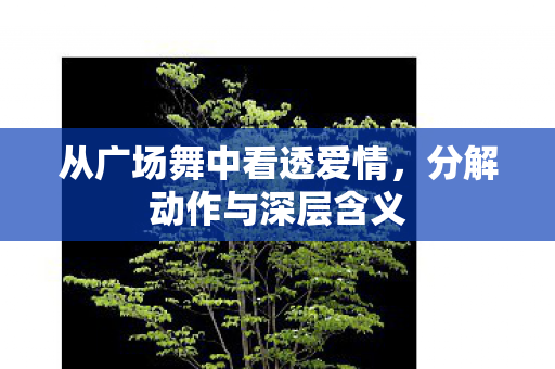 从广场舞中看透爱情图片