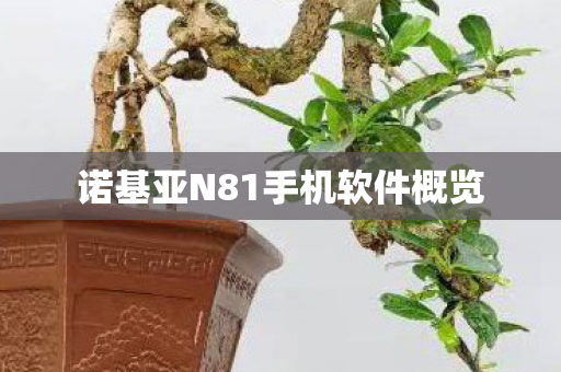 诺基亚N81手机软件概览图片