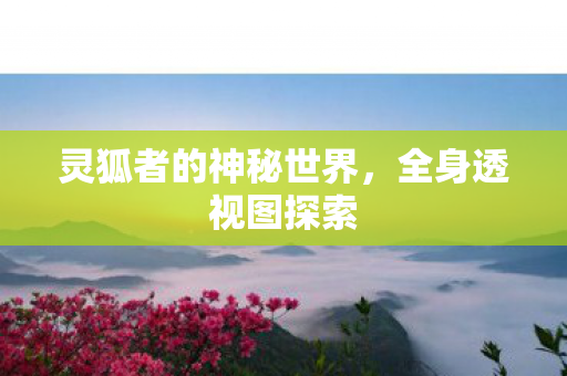 灵狐者的神秘世界图片