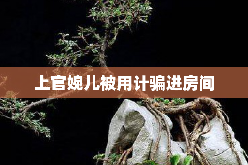 上官婉儿被用计骗进房间图片