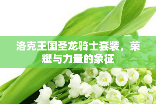 洛克王国圣龙骑士套装图片