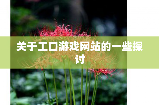 关于工口游戏网站的一些探讨图片