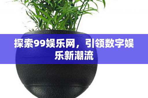 引领数字娱乐新潮流图片