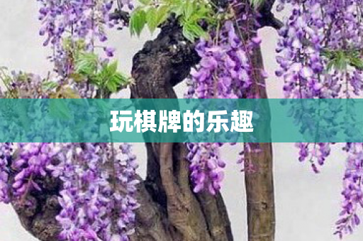 玩棋牌的乐趣图片