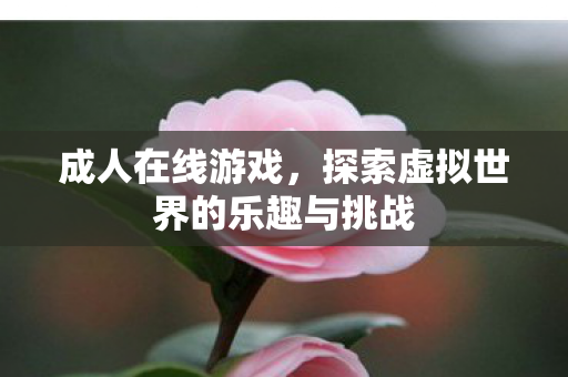 探索虚拟世界的乐趣与挑战图片