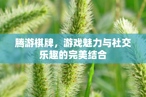 游戏魅力与社交乐趣的完美结合图片