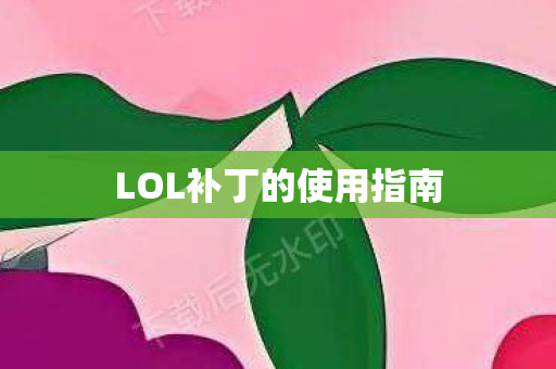 LOL补丁的使用指南图片