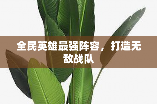全民英雄最强阵容图片