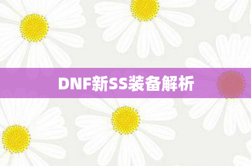 DNF新SS装备解析图片